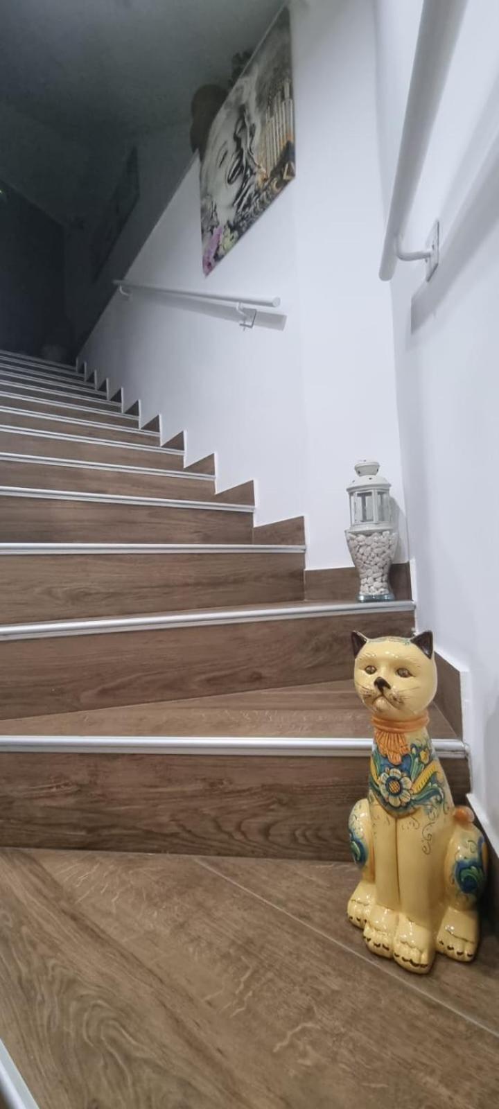 皮亚扎-阿尔梅里纳La Regina Di Saba住宿加早餐旅馆 外观 照片